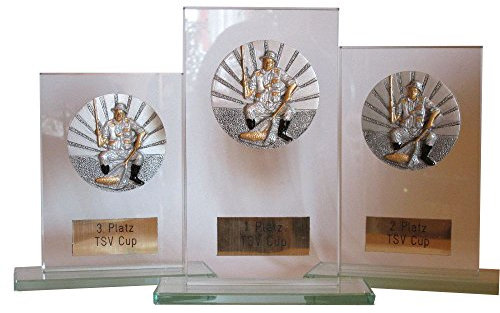 3er-Serie Glaspokale mit großem Resin-Emblem (GoKart)