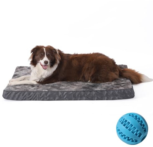 GUPPBF Orthopädisches Hundebett für Kleine und Mittelgroße Hunde, Abnehmbar und Waschmaschinenfest, Wasserdichtes Hundebett, Haustiermatratze, Gemischte Farben, 75 cm x 50 cm x 7 cm
