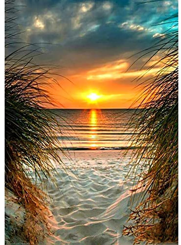 QENSPE 5D Diamond Painting Kit Completo, Playa Diamond Art Cuadro Diamante para Adultos Niños, DIY Rhinestones Bordado Punto de Cruz para Decoración Hogar 30x40cm Puesta de sol