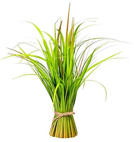 creativ home Kunstpflanze MISCANTHUS Grasbund, Grasbusch ca 55 cm. Stehgras-Bündel. Dekogras, Chinaschilf Chinagras. 3319679-50