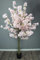 Kunstpflanze Kirschblütenbaum Kirschbaum künstlich Pflanze Kunstbaum Kirschblüte Zimmerpflanze (Rosa 160 cm)