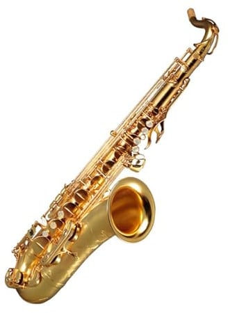 Saxophone für Anfänger Altsaxophon aus B Messing mit vergoldetem Instrument