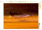 CALVENDO Puzzle United Airlines Boeing 767-400 Zürich, Switzerland 1000 Teile Lege-Größe 64 x 48 cm Foto-Puzzle Bild von Tis Meyer