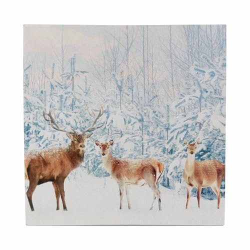 Nexos Trading LED Wandbild Beleuchtung 40x40 cm Winterwald 40 Glasfaserstränge weiß LED Fotodruck Kunstdruck Leuchtbild Winter Batterie Timer LED