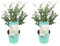 Bloomique - 2er Set - Eukalyptus Gunii Azura - Eukalyptus Pflanze - Winterharte Balkonpflanzen - Gartenpflanzen Winterhart - Höhe 40-60 cm - Topf 19 cm