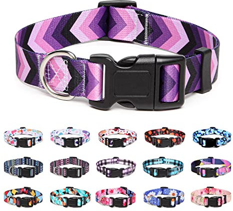 Suredoo Hundehalsband Verstellbares, Weich & Komfort Nylon Hunde Halsband für Kleine Mittlere Große Hunde Welpen Katzen (S, Pfeil)