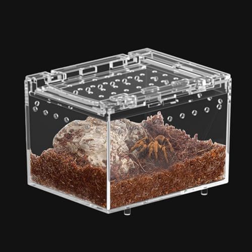 Jortmrd Terrarium Schnecken Mini Terrarium Spinne Reptil Fütterungsbox, Springspinne Terrarium Reptilien Fütterungsbox Geeignet für Insekten, Käfer (10x8x7cm)