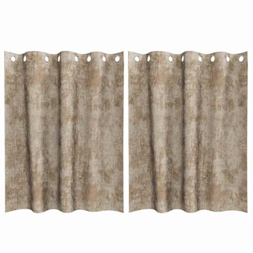 vidaXL Curtain with Curtains 2 pcs Champagne 140 x 140 cm Velvet, Living Room Curtains, Traditional Velvet Panels, Privacy and Blackout Window Treatments for Elegant Home Decor