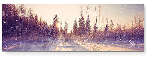 Paul Sinus Art Leinwandbilder | Bilder Leinwand 120x40cm Winterlandschaft