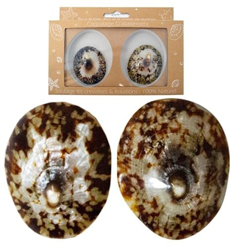 Coquillage d'allaitement mammaire - Patelle