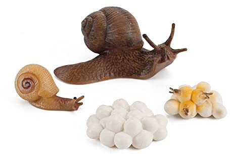 LICHENGTAI Tiere Lebenszyklus Figuren, Insekten Spielzeug Lebenszyklus Kunststoff Tierfiguren Kinder Pädagogische Modell Lernspielzeug Desktop Dekoration Lernspielzeug für Kinder