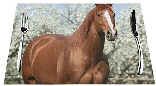 Pferd in Front Platzdeckchen, PVC, gewebt, 45,7 x 30,5 cm, hitzebeständig, rutschfest, hitzebeständig, leicht zu reinigen