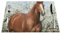 Pferd in Front Platzdeckchen, PVC, gewebt, 45,7 x 30,5 cm, hitzebeständig, rutschfest, hitzebeständig, leicht zu reinigen