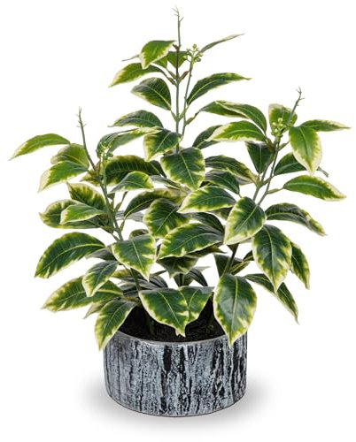Arborus 14.5 Tall Fake Plants in Pots Artificial White-edged Leaf Plants Indoor Faux Green Plant with Black and White Striped Pots Artificial Greenery for Home Bathroom Bedroom Kitchen Decor