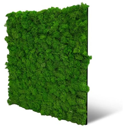 JANGAL Modular Wall Nature Moos Paneel (52 x 52 cm), Modulares Wandpaneel, mit recyceltem PET-Filz, zum Kleben oder Schrauben, Wandverkleidung, Wand Deko, Mooswand (Rich Green Moos)