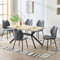LEWE Esszimmergruppe Esstisch mit 6 Stühlen, 140 x 80 x 76 cm Rechteckig Esstisch aus Holz mit 6 Esszimmerstühle mit Hohe Rückenlehne, Schwarz Eisenbeine, für Küche Esszimmer und Wohnzimmer