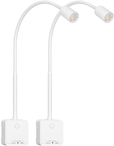 PRINCEWAY LED Wandleuchte Wand Leseleuchte Bett Innen Dimmbar Schwanenhals mit Stecker und USB, 2er Pack Steckdosenleuchten LED Weiß, Berührungsschalter, 3 Lichtfarb Modi, 50° Lichtwinkel
