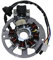 Lichtmaschine Stator Version 1 3Pins und 2 Kabel für Roller Baotian, Keeway, CPI