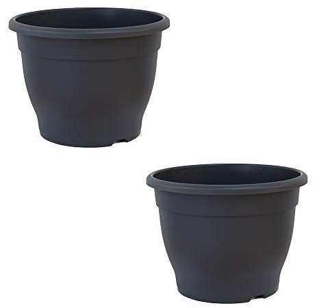 Patio pots for Plants Dark Grey Made of durable garden plastic 32cm Planter by Thompson and Morgan (2)