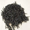 ZHONGJIUYUAN Lot de 1 000 clous à tête de fer à cheval en acier au carbone de 19 mm avec petite vis triangulaires noires pour réparer les chaussures et les accessoires de bricolage