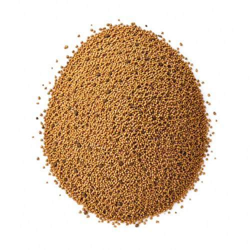 Semi di Erba Medica Alfalfa 5 kg | Germogli di Medicago Sativa Pronta da Seminare | Ideale per Seminare Terreni, Aiuole, Prati, Giardini e Terrazzi
