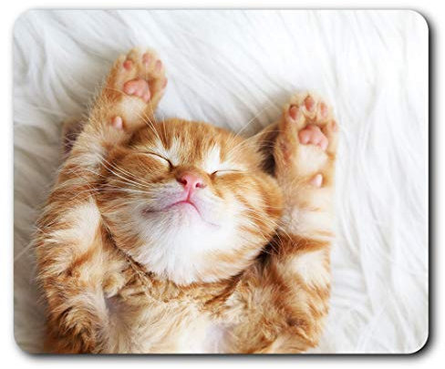 Cute Sleeping Ginger Cat Kitten Mouse Mat Pad Computer PC Laptop Gaming Office Home Desk Accessory Gadget 13113
