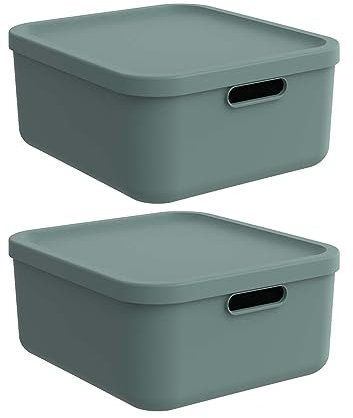 Rotho Albula light 2er-Set Aufbewahrungsbox 20l mit Deckel, Kunststoff, grün