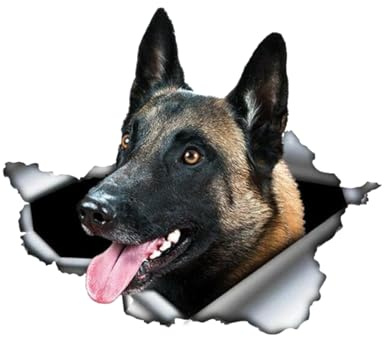 Adesivo per auto belga Malinois, 18 cm (7,1 pollici), 3D strappato, impermeabile, riflettente, cane da pastore belga, adesivo decorativo per finestrini auto