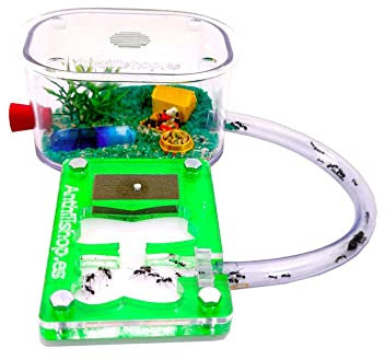Anthillshop.es Formicaio educativo con Acrilico 9x6 Formica Regina Gratis.