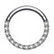 OUFER Septum Piercing G23 Solid Titan Daith Ohrring Kreis Tragus Helix Ringe 16G Scharnier Segment Kreis klar CZ Paved Knorpel Ohrring, 10mm, Titan