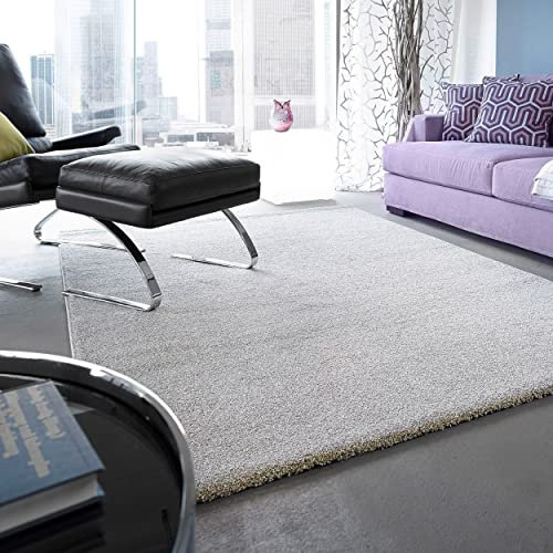 Astra Wohnzimmerteppich hochwertig- Pflegeleichte Teppiche für Wohnzimmer, Schlafzimmer, Arbeitszimmer - Samoa Uni Silber 200x290 cm