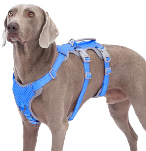 Huntboo Sicherheitsgeschirr Hund Ausbruchsicher, Panikgeschirr für Hunde, Reflektierendes Geschirr mit Gepolstertem Griff, Verstellbare Weste für Große Hunde, die Spazieren Gehen (Meeresblau,L)