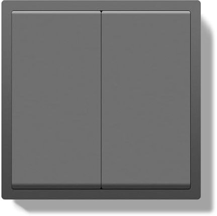 BSEED Interruptor Pared 2 Gang 2 Vías, Interruptor Doble con Marco de PC, Conmutador Interruptores Pared con Abrazadera de Cable y Garra para Cable, Interruptores Doble Gris 80x80cm