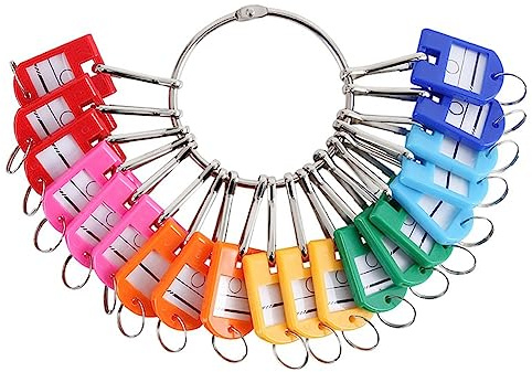 Fegtrtyoa Key Organizer Reusable with 30 Spring Hooks & Key Tags with Ring and Label Window