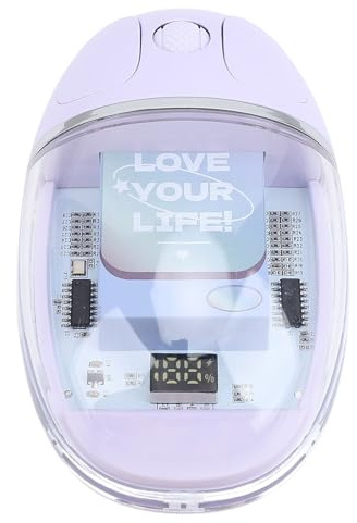Dilwe Souris sans Fil Transparente, Fonctionnement Précis pour Ordinateur de Bureau, Ordinateur Portable, Légère, ABS, PC, Silicone (Violet Lavande)