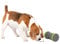 PetSafe Kibble Chase Selbstbewegendes Belohnungsspielzeug, Rollender Snackspender für Hunde, 3 AA-Batterien nötig, 1 Stück (1er Pack)
