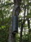 HASSELFELDT Fledermausgroßraumröhre aus Holzbeton | Wetterfest | Fledermausquartier | Fledermauswochenstube | Großraumhöhle | Sommerquartier | Fledermauskasten | Fledermaus-Haus | Selbstreinigend