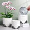 Meshpot Vaso per orchidee da 10 cm con fori, set di 1, vaso per orchidee a doppio strato in plastica imitano la ceramica forniscono una buona circolazione dell'aria, vaso trasparente per orchidee