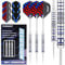 Turnart Dartpfeile Metallspitze -12 Stück 24 Gramm Profi Steel Darts Pfeile Dartpfeile Profi Dartpfeile Steel Set 12 Aluminium Schaft mit 24 Flights 20 Anti-Lose Gummiringe (22G-Tungsten Dart-Blau)
