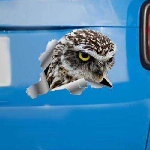 Madcolitote Angry Bird Auto-Fensteraufkleber, Eule, Stoßstange, 3D-Vinyl, gestanzt, lustig, Laptop, Stoßstange, Tiergeschenk, 25,4 cm
