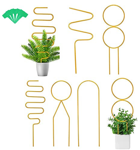 5 Piezas enrejados de Plantas para Plantas trepadoras en Interiores, Soportes de Plantas para macetas, estacas de Soporte de Plantas, Enrejado de Metal para jardín en macetas, clemátides (Dorado)