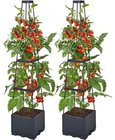 Tomaten-Pflanzkästen mit Spalier, selbstbewässernder Pflanzkasten, selbstbewässernd, Hochbeet, hohe, quadratische Pflanzgefäße für drinnen und draußen,Klettern,Gemüse,Pflanzen,Terrasse (2)