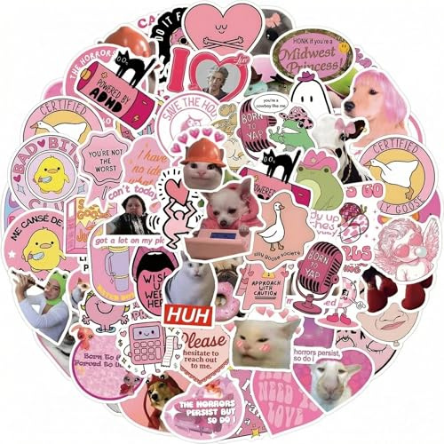 Pink Stickers Pack,QIANSSE 110PC Meme Stickers for Adults Women Waterproof Vinyl Decals for Water Bottle Laptop Cool Girly Gifts Scrapbooking
