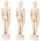 NUOBESTY 3St gegliedertes menschliches Kunstmodell Modell der Kunstfigur Mann Puppen Modelle Skizzieren Sie Holzzubehör Modell aus Holz Körper Modellfigur Holznagel Marionette Baby Bambus