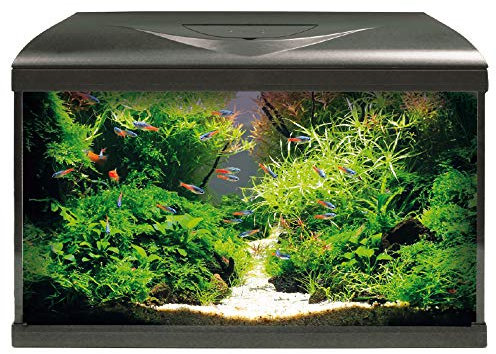 Amtra A2001038 Sistema 60 Led Black