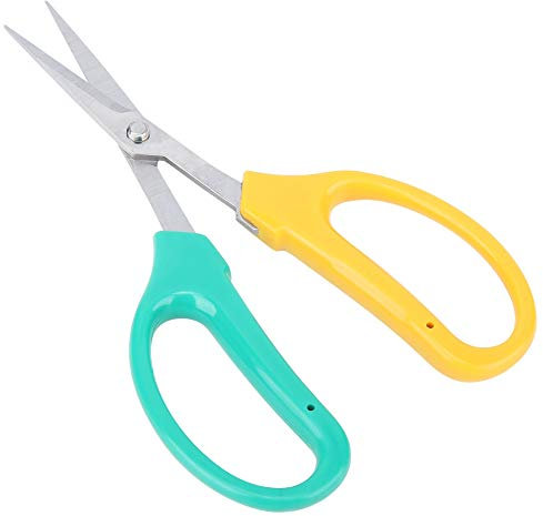 Annadue Tijeras De Podar De UVA, Tijeras para Recoger Frutas, Tijeras De Hoja Curva, para árboles Frutales, Jardines, Bonsái