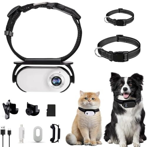 CATCAM PRO, CAT CAM PRO 2.0, videocamera per videocamera per videocamera HD 1080p, telecamera per animali domestici per gatti e cani, mini camma sportiva wireless impermeabile per (White+8g)