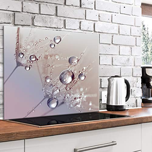 murando Glass Splashback for Kitchen Backsplash Cooker Protector Tempered Glass Decorative Wall Art Panel Heat Resistant Graphic 80x60 cm / 32x24 Flowers Dandelion Water drops b-B-0432-aq-e