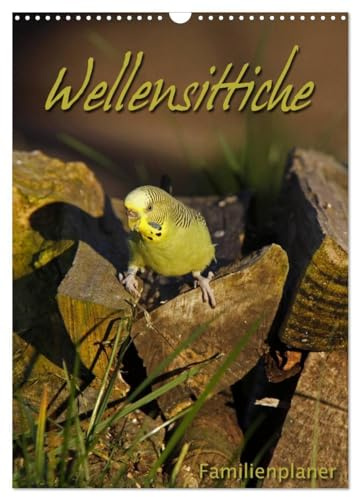 Wellensittiche (Wandkalender 2026 DIN A3 hoch), CALVENDO Monatskalender: Familienplaner (CALVENDO Tiere)