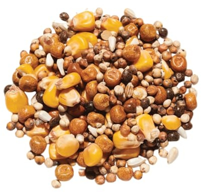Countrywide Irish Champion Pigeon Feed Mix, 20 kg